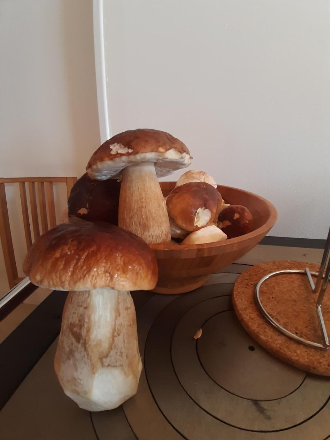 Le Petit Ferienhaus *